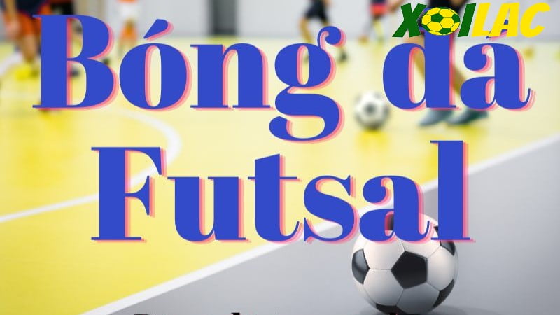 Bóng đá trong nhà là gì? Bóng đá trong nhà là gì?