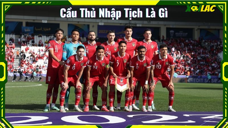 Tìm hiểu thông tin về việc cầu thủ nhập tịch Tìm hiểu thông tin về việc cầu thủ nhập tịch