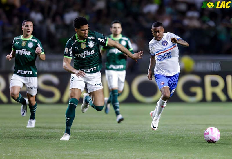 Palmeiras sẽ đối đầu với Bahia tại vòng 15 VĐQG Brazil Palmeiras sẽ đối đầu với Bahia tại vòng 15 VĐQG Brazil