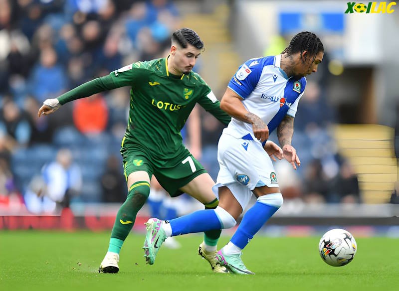 Norwich City sẽ tiếp Blackburn Rovers trên sân nhà