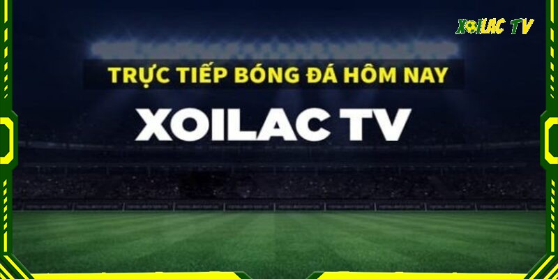 Đảm bảo sự tương tác, phản hồi chất lượng