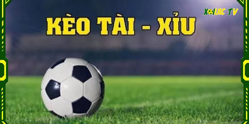 Cá cược cùng kèo tài xỉu trong tỷ lệ kèo tv